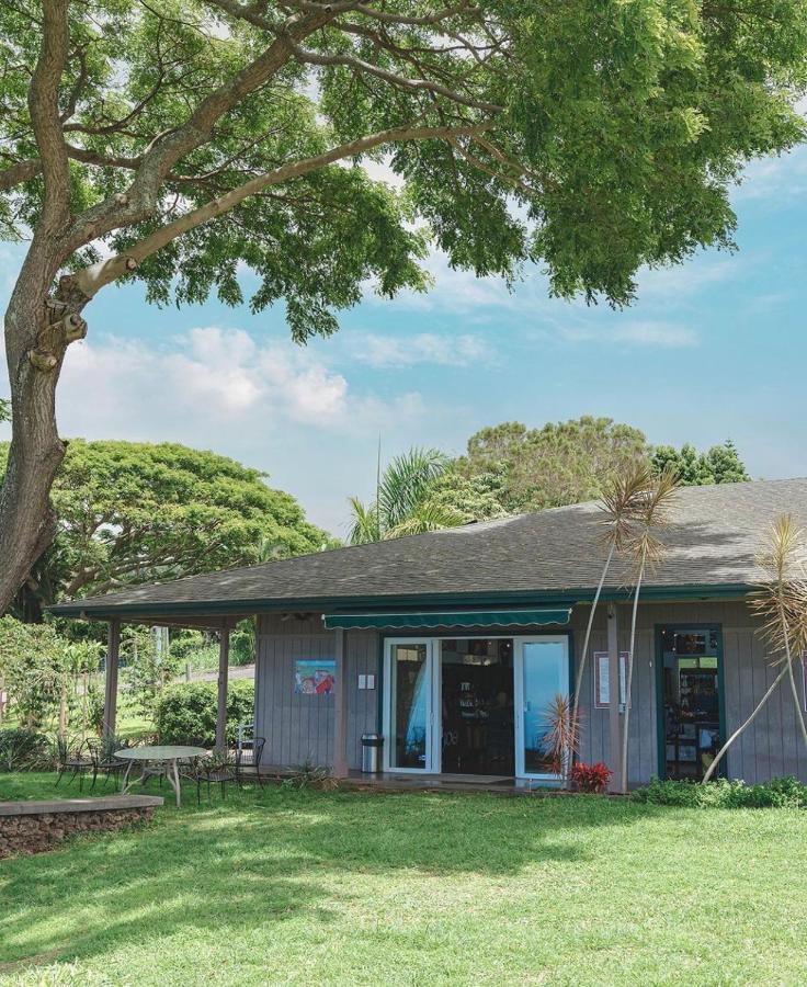 Haukea At Kona Joe Coffee Farm Kealakekua Exterior photo